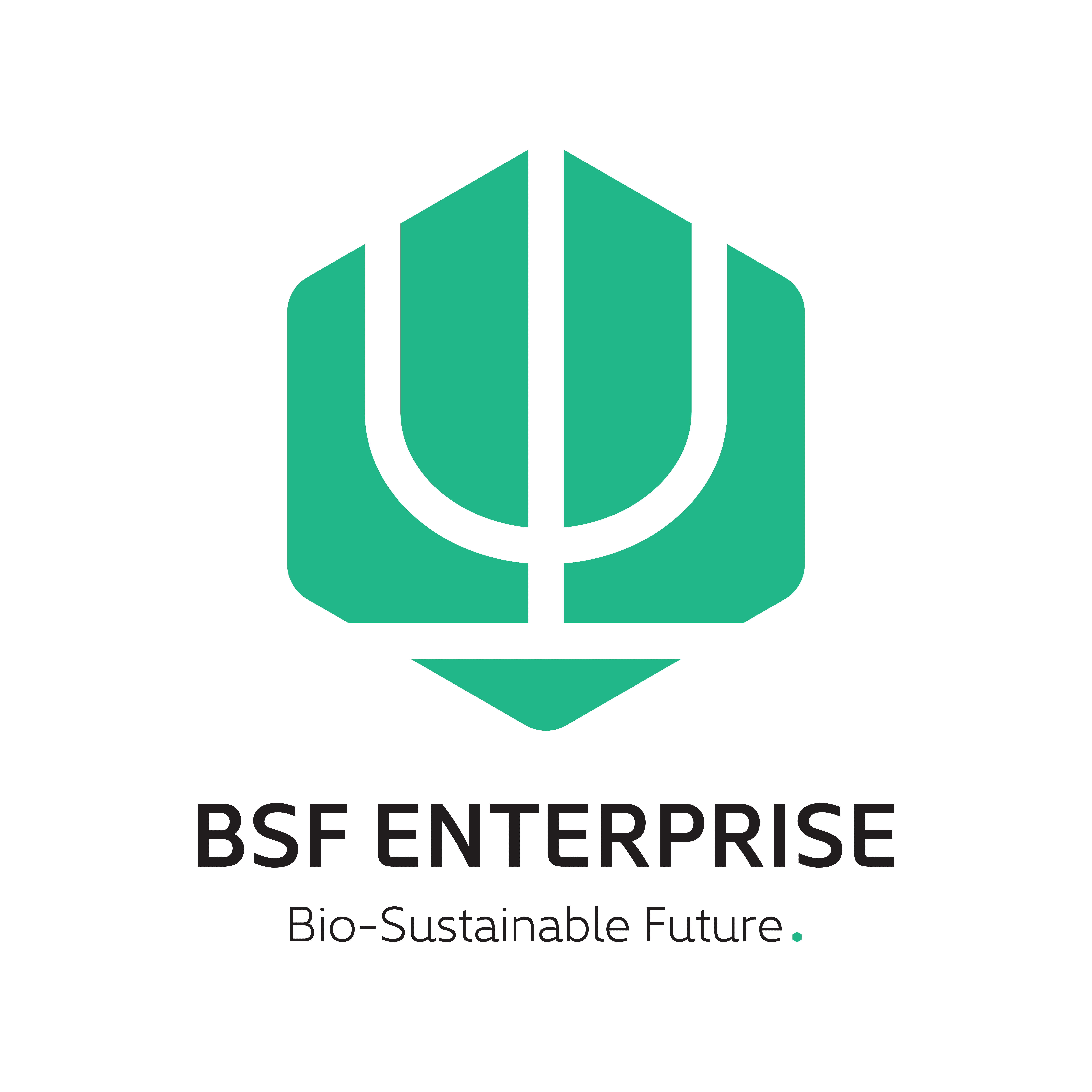 BSF Enterprise Plc